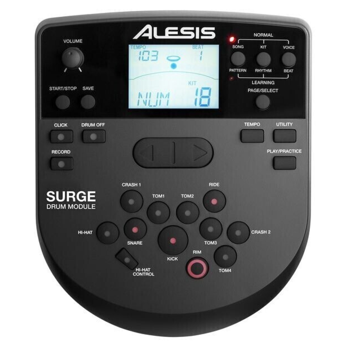 Alesis Surge Mesh Kit Special Edition Электронная барабанная установка  купить в Москве и РФ недорого