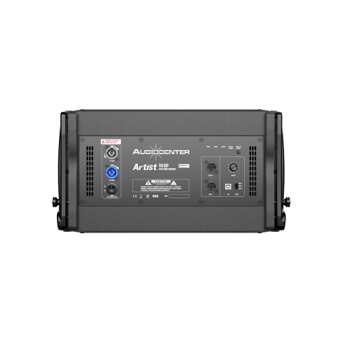 Audiocenter Artist T45-DSP Активный элемент ЛМ, 1400 Вт., 4х5"