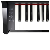 Roland GP 3 PE Цифровой рояль