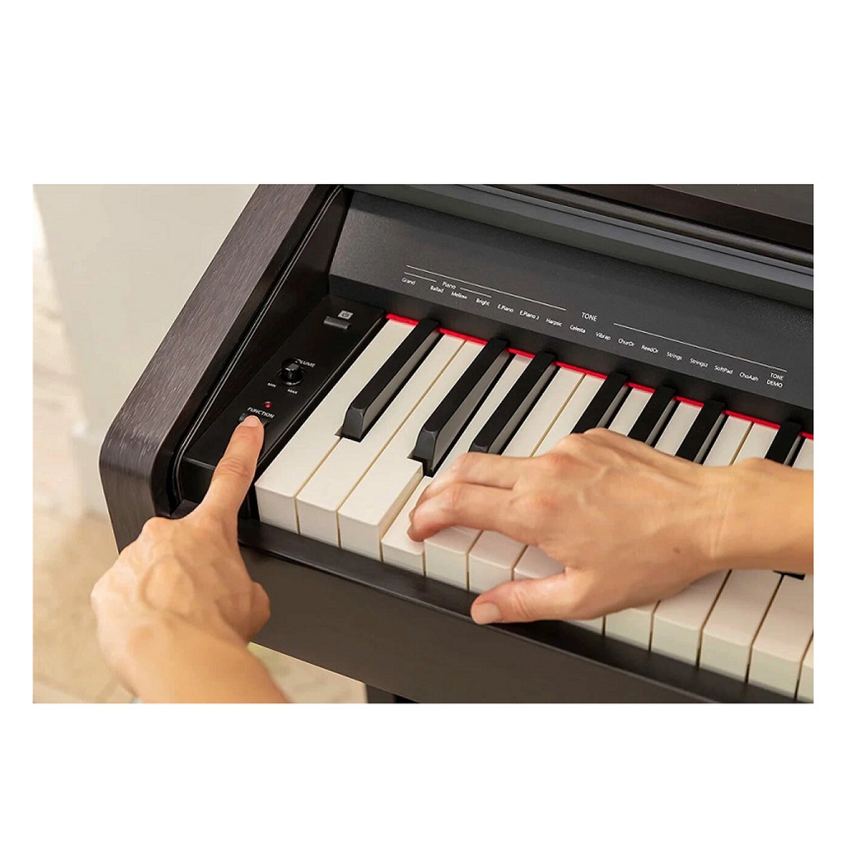 Roland rp30. Цифровое пианино Roland rp30. Roland rp30 характеристики.