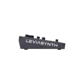 ASM Leviasynth Desktop 16-голосый гибридный синтезатор