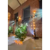 Amixled SUNSTRIP ACTIVE 10x50w Световая панель, 10х50 Вт, лампы Osram Halopar