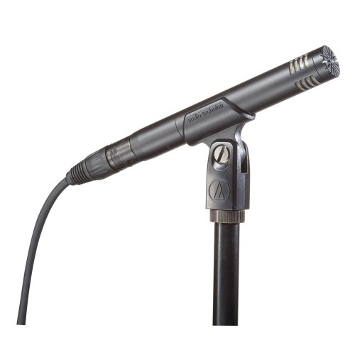 Audio-Technica AT2031 Студийный инструментальный микрофон