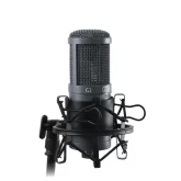 AuraSonics AD22S Stereo Студийный стерео-микрофон