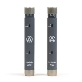 AuraSonics AP22-MP Инструментальные студийные микрофоны, подобранная пара