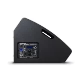 AuraSonics Solo D12M Активный сценический монитор, 1000 Вт., 12"