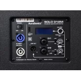 AuraSonics Solo D12M Активный сценический монитор, 1000 Вт., 12"