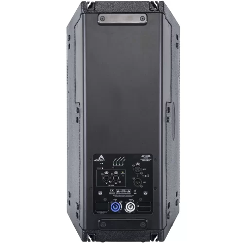 Axiom AX1012A Активный элемент ЛМ, 1200 Вт., 12"+1,4"