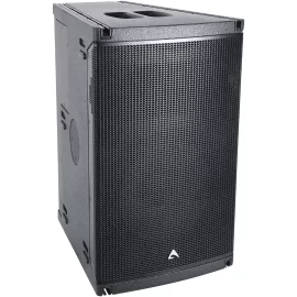 Axiom AX1012A Активный элемент ЛМ, 1200 Вт., 12"+1,4"
