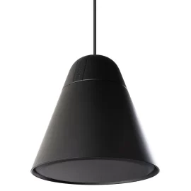 Biamp P60DT-BL Подвесная АС, 7,5/15/30/60 Вт.-100 В; 120 Вт.-16 Ом., 6,5"