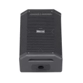 Biema X-1 Активная АС, 180 Вт., 8", MP3, Bluetooth