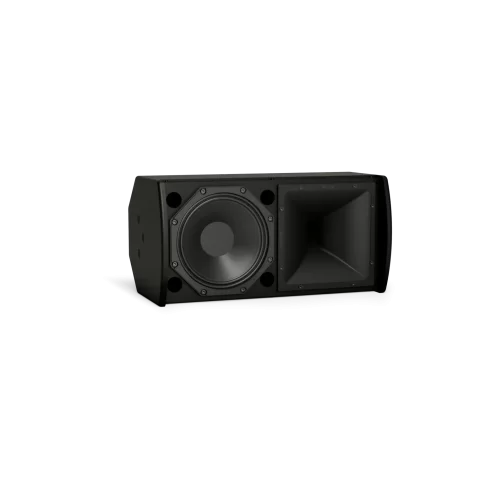 Bose ArenaMatch AMU108-120 Black Пассивная АС, 250 Вт., 8", IP 55