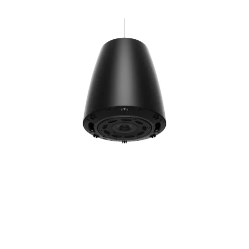 Bose DesignMax DM6PE Black Подвесная АС, 10/20/40/80 Вт., 70/100 В, 6,5", пара