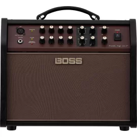 Boss Acoustic Singer Live LT ACS-LIVELT Акустический комбоусилитель, 60 Вт., 6,5"