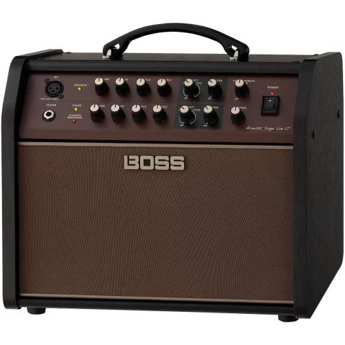 Boss Acoustic Singer Live LT ACS-LIVELT Акустический комбоусилитель, 60 Вт., 6,5"