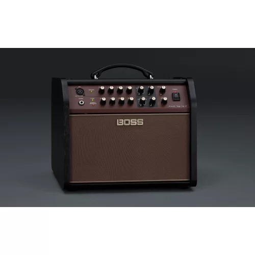 Boss Acoustic Singer Live LT ACS-LIVELT Акустический комбоусилитель, 60 Вт., 6,5"
