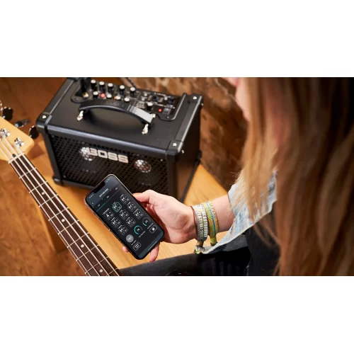 Boss Dual Cube Bass LX (DCB-LX) Басовый комбо, 10 Вт., 2х5"
