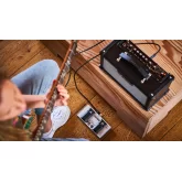 Boss Dual Cube LX (D-CUBE-LX) Гитарный комбоусилитель, 10 Вт., 2x4"