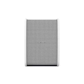 CVGAudio TONE-POINT model A-plus/W Активная настенная АС, 40 Вт., 5"+3"+1"