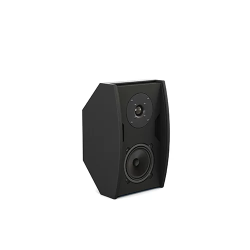 CVGaudio AXE5:8BL-DANTE Настенная АС, 2х30 Вт., 5", Dante, PoE+