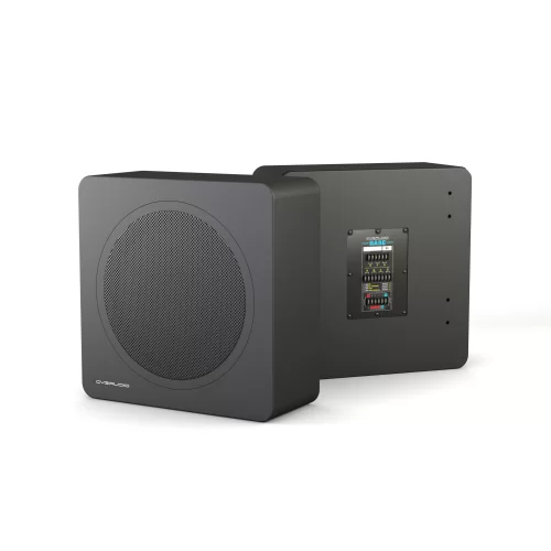CVGaudio BASE-12V2/BL-UNI Инсталляционный сабвуфер, 200 Вт. - 8 Ом, 50/75/100 Вт. - 100 В, 12"