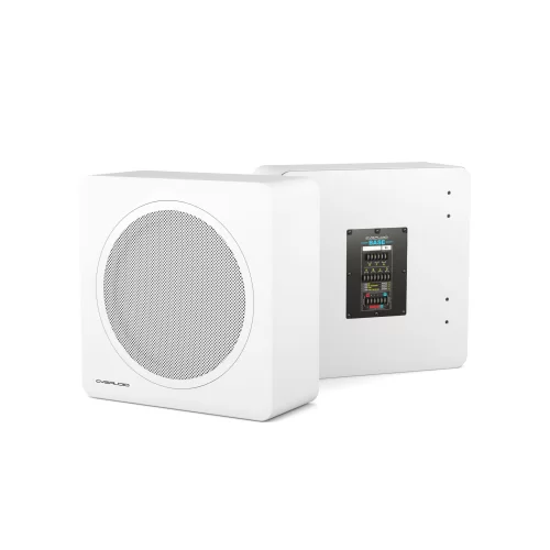 CVGaudio BASE-12V2/W-UNI Инсталляционный сабвуфер, 200 Вт. - 8 Ом, 50/75/100 Вт. - 100 В, 12"