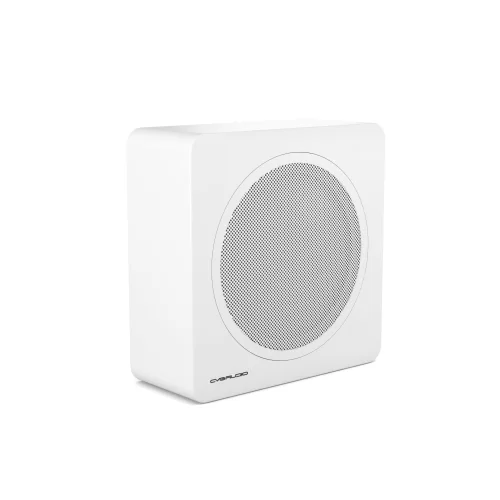 CVGaudio BASE-12V2/W-UNI Инсталляционный сабвуфер, 200 Вт. - 8 Ом, 50/75/100 Вт. - 100 В, 12"