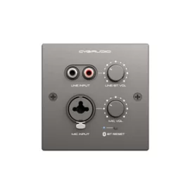 CVGaudio PW-IN/BL Настенная панель удаленного подключения