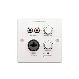 CVGaudio PW-IN/W Настенная панель удаленного подключения
