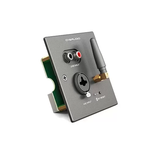 CVGaudio PW/EX-IN/BL Настенная панель удаленного подключения