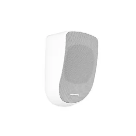 CVGaudio WPL10TW Настенный громкоговоритель, 10/5 Вт., 100В, 5"