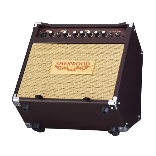 Carlsbro Sherwood 20R Акустический комбоусилитель, 20 Вт, 6,5"