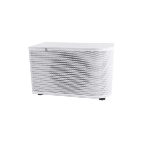 Cloud Electronics CS-SUB 8W Пассивный сабвуфер, 8", 100 Вт.