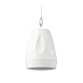 Cloud Electronics CVS-P42TW Подвесной двухполосный громкоговоритель, 4,5", 20 Вт.