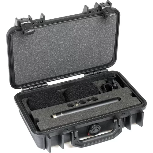 DPA ST4006A Комплект из двух микрофонов 4006А в кейсе