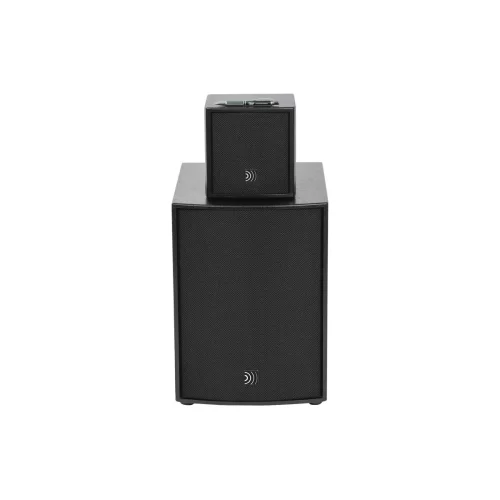 DS Proaudio ANT WOOD Активный акустический комплект, 1000 Вт.