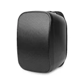 DSPPA DSP9040W Настенная АС, 40/20/10/5 Вт. - 100В./8 Ом., 6,5", IP66