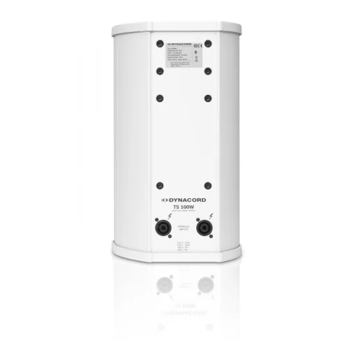 Dynacord TS100W Пассивная АС, 150 Вт., 6"