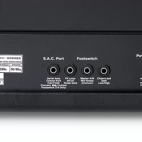 ENGL E650/2 Ritchie Blackmore Signature Ламповый гитарный усилитель, 100 Вт.