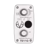 Eve Audio TS110 Студийный сабвуфер, 10"
