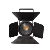 Exell Lighting EXLFR200WFC Театральный прожектор с линзой Френеля, 200 Вт., RGBW