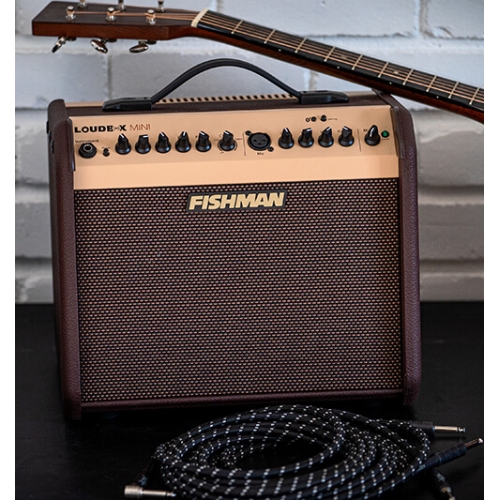 fishman loudbox used