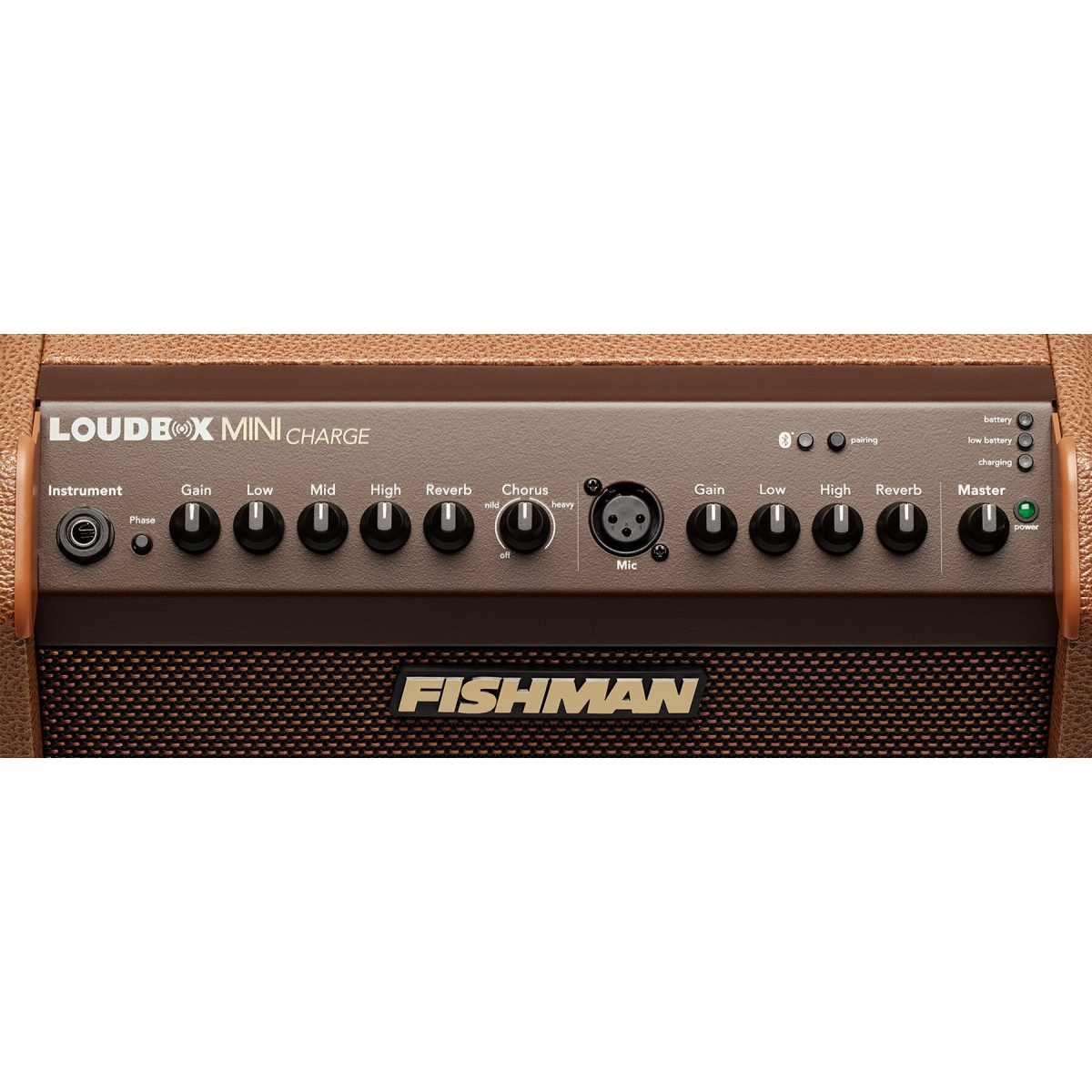 Bose s1 pro vs fishman loudbox mini charge