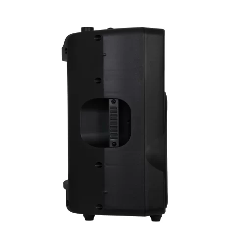 Fonestar SB-3612 Пассивная АС, 300 Вт., 12"