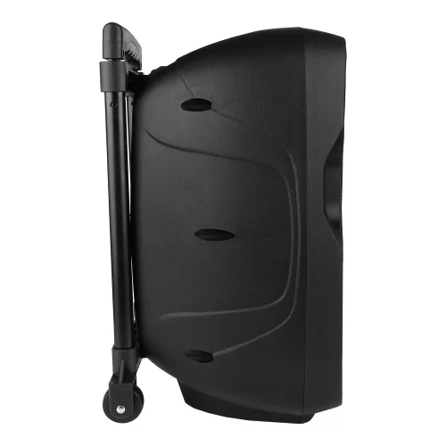 Gemini AS-10TOGO Портативная АС, 300 Вт., 10", MP3, Bluetooth