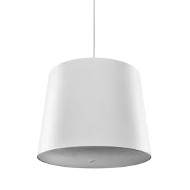 Genelec 4436AW Активная подвесная АС, 50 Вт., 5", Dante/AES67