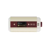 Hotone Pulze Mini Моделирующий гитарный миниусилитель