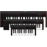 IK Multimedia iRig Keys 2 Mini MIDI-клавиатура, 25 клавиш