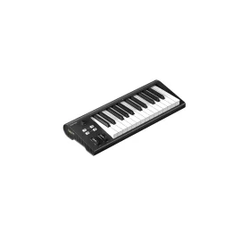 Icon Artist 25 MIDI-клавиатура, 25 клавиш