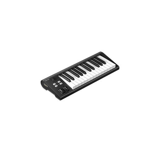Icon Artist 25 MIDI-клавиатура, 25 клавиш